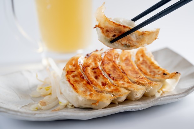 浜松弐輪舎餃子